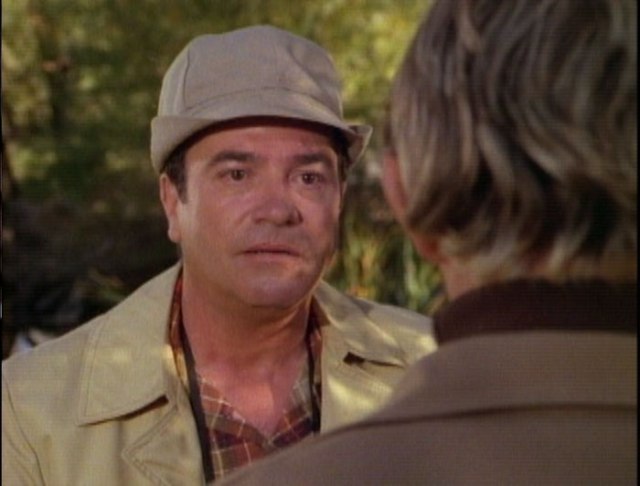 Bosley the bird watcher