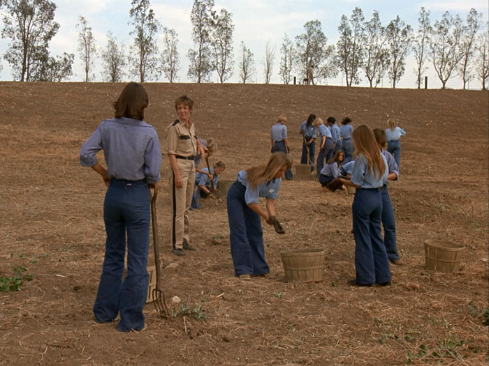 The prisoners begin working in the potato fields, and Sabrina asks Fran about gloves.
