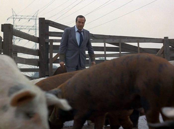 Bosley (David Doyle) enters the hog pen.
